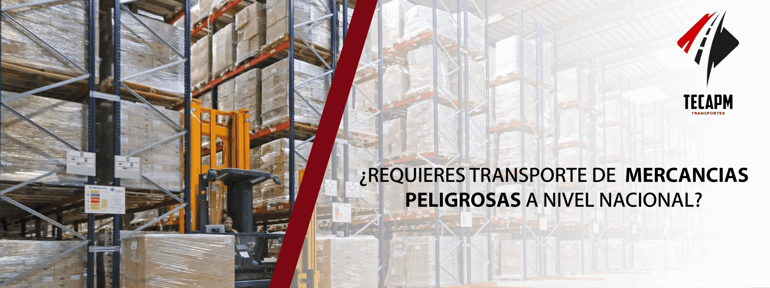 CAR1_Mesa de trabajo 1 (1)